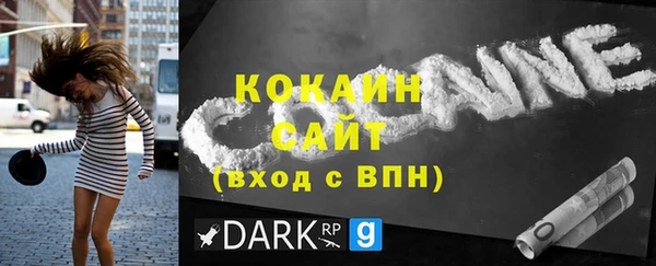 гашик Россошь