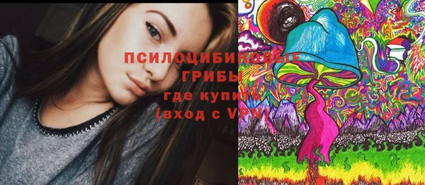 гашик Россошь
