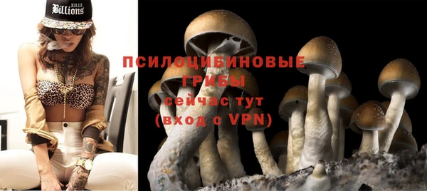 ешки Ростов