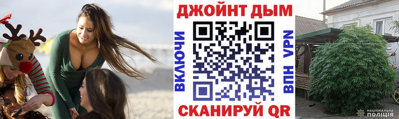 что такое наркотик  Весьегонск  Шишки марихуана AK-47 